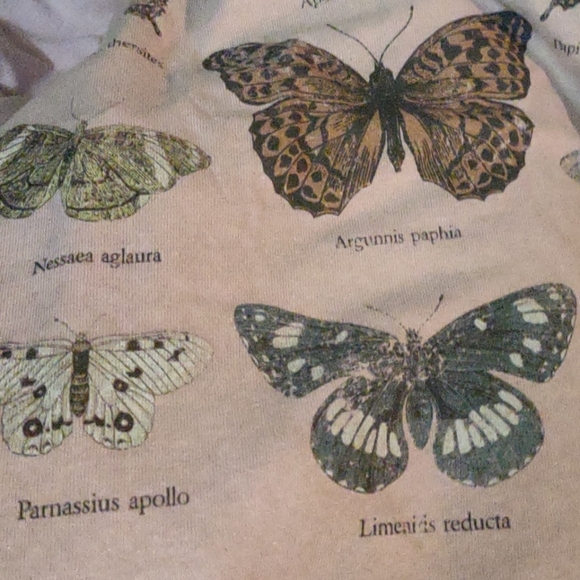 *SOLD* BOGO NWT CACTUS & PEARL Butterfly Graphic Crewneck Tee - Picture 5 of 7